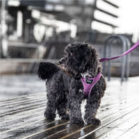 Produktbild von Dog Copenhagen Comfort Walk Go Hundegeschirr Wasserabweisend Gelb Größe M