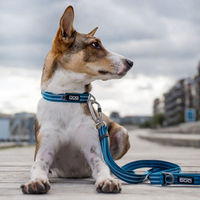 Produktbild von DOG Copenhagen Urban Freestyle Leine aus Polyester Ocean Blue S