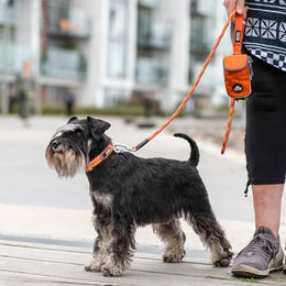 Dog Copenhagen Urban Rope 3.0 Hundeleine aus Polyester Schwarz S – Bild 1 von 3