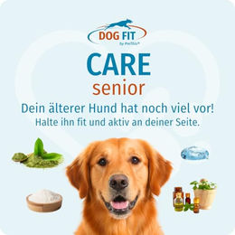 Produktbild von DOG FIT by PreThis CARE Senior Gelenk-Supplement Pulver für große Hunde zur Unterstützung der Gelenke und des Immunsystems