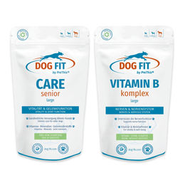 DOG FIT by PreThis Stärkungs-Set für Senior große Hunde mit Vitamin B Komplex zur Unterstützung von Gelenken und Nerven 120 Kapseln – Bild 1 von 1