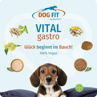 Produktbild von DOG FIT by PreThis VITAL Gastro Verdauungshilfe für Hunde mit Magen-Darm-Unterstützung Bio 80 g