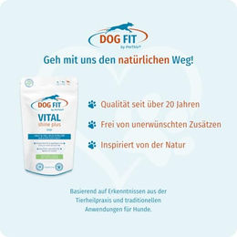 Produktbild von DOG FIT by PreThis VITAL Shine Plus Haut Fell und Sehkraft Ergänzung für Hunde Große Rassen 60 Kapseln