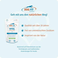 Produktbild von DOG FIT by PreThis VITAL Shine Plus Haut Fell und Sehkraft Ergänzung für Hunde Große Rassen 60 Kapseln
