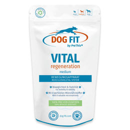 DOG FIT by PreThis Wirbelsäule und Gelenkkur für mittlere Hunde 10-25kg mit Kollagen und L-Lysin 60 Kapseln – Bild 1 von 1