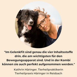 DOG NATIVE GelenkFit Gelenkpulver für Hunde mit Grünlippmuschel, MSM, Chondroitin und Kollagen 175g - 175 g – Bild 1 von 5
