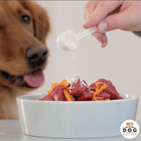 Produktbild von DOG NATIVE GelenkFit Gelenkpulver für Hunde mit Grünlippmuschel, MSM, Chondroitin und Kollagen, 500g - 500 g