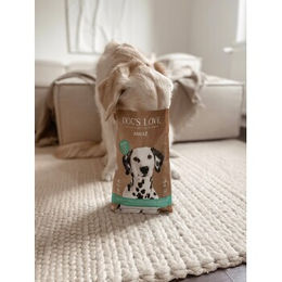 Dog's Love Trockenfutter Hund Adult Ente Hypoallergen 12 kg - 12 kg – Bild 1 von 4