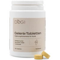 Produktbild von DOG1 Gelenk Tabletten für Hunde zur Seniorenpflege großer Rassen