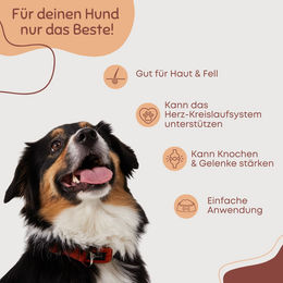 DOG1 Omega-3 Lachsöl für Hunde als Nahrungsergänzung für Haut, Fell und Gelenke ohne Farb- und Aromastoffe sowie Konservierungsstoffe 1000 ml – Bild 1 von 2