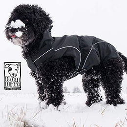 DogBite Winterjacke für Hunde Schwarz 65 cm – Bild 1 von 3