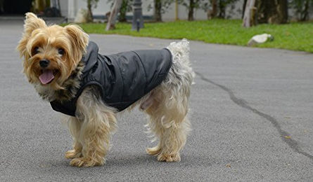 Doggy Dolly Hundejacke mit Kapuze und Kunstfell Schwarz Größe L Wasserabweisender Wintermantel für Hunde – Bild 1 von 5