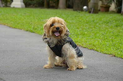 Produktbild von Doggy Dolly Hundejacke mit Kapuze und Kunstfell Schwarz Größe XS Wasserabweisender Wintermantel aus Fleece