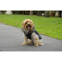 Produktbild von Doggy Dolly Hundejacke mit Kapuze und Kunstfell Schwarz Größe XS Wasserabweisender Wintermantel aus Fleece