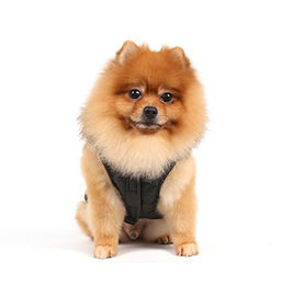 Doggy Dolly Hundejacke mit Kapuze und Kunstfell Schwarz XL Wasserabweisend Fleece Wintermantel – Bild 1 von 4