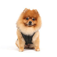 Produktbild von Doggy Dolly Hundejacke mit Kapuze und Kunstfell Schwarz XL Wasserabweisend Fleece Wintermantel