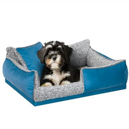 DOGGY Hundebett aus Plüsch für kleine Hunde in Blau Größe S 45x32 cm – Bild 1 von 6