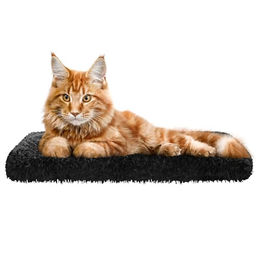 DOGGY Katzen Fensterliege mit rutschfester Fensterbank und waschbarem Bezug Schwarz 60x20 cm - 60 cm – Bild 1 von 9