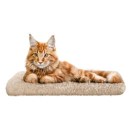 DOGGY Katzen Fensterliege mit rutschfester Fensterbank und waschbarem Stoffbezug in Beige 50x20 cm - 50 cm – Bild 1 von 9