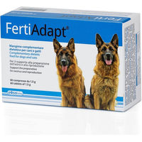 Produktbild von Dogoteka FertiAdapt Nahrungsergänzung für Hunde und Katzen zur Unterstützung der Fortpflanzung 60 Stück
