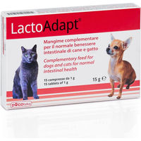 Produktbild von Dogoteka New LactoAdapt Probiotika für Hunde und Katzen zur Unterstützung der Magen-Darm-Gesundheit und des Immunsystems 15 Stück
