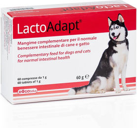 Produktbild von Dogoteka New LactoAdapt Probiotika für Hunde und Katzen zur Unterstützung von Magen-Darm-Gesundheit und Immunsystem 60 Stück