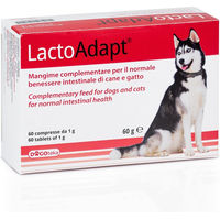 Produktbild von Dogoteka New LactoAdapt Probiotika für Hunde und Katzen zur Unterstützung von Magen-Darm-Gesundheit und Immunsystem 60 Stück