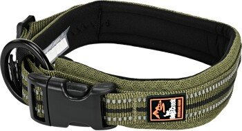 Dogs Creek Hundehalsband Voyager Gurtband Grün XL – Bild 1 von 2