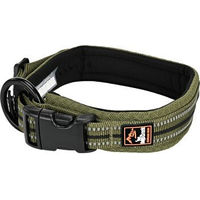 Produktbild von Dogs Creek Hundehalsband Voyager Gurtband Grün XL