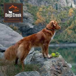 Produktbild von Dogs Creek Maulkorb Protect S aus TPR für Hunde