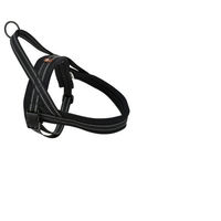 Produktbild von Dogs Creek Norwegergeschirr Control für Hunde aus Nylon Schwarz Größe S