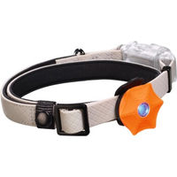 Produktbild von Dogs Creek Sensor Sirius 2.0 Hundehalsband-Licht Orange mit Akku