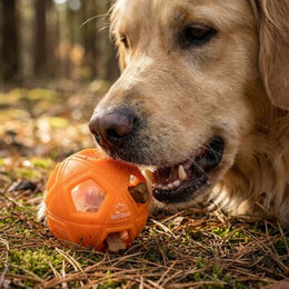 Produktbild von Dogs Creek Snackball Grid Intelligenzspielzeug für Hunde aus Kunststoff in Orange