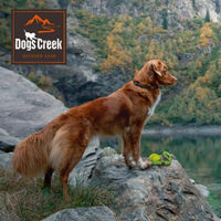 Produktbild von Dogs Creek Trainingsdummy Wave S für Hunde