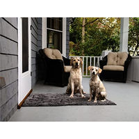 Produktbild von Dogs Gone Smart Dirty Dog Doormat Runner Schwarz 152x76 cm für Hunde