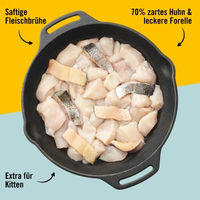 Produktbild von Dogs'n Tiger Glückskind Kitten Nassfutter Huhn und Forelle Stückchen in Sauce mit hohem Fleischanteil 12x 200 g - 12 x 200 g