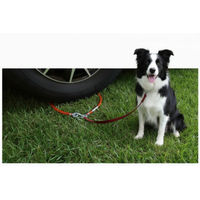 Produktbild von DOGsafer Hunde-Anleinen-Befestigung für Van Wohnwagen und Wohnmobil Blau