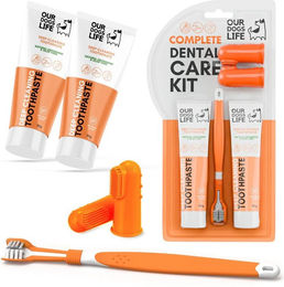 DogsLife Dental Kit Zahnpflege aus Silikon in Orange – Bild 1 von 4