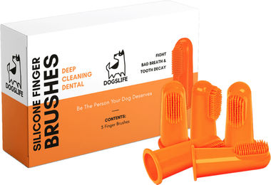 DogsLife Fingerzahnbürsten aus Silikon für Hunde 5 Stück Orange – Bild 1 von 7