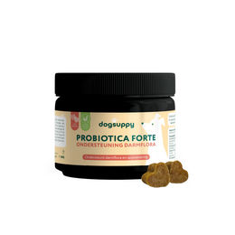 DogSuppy Probiotica Forte Funktionssnack für Hunde mit Insekt zur Unterstützung der Magen-Darm-Verdauung 60 Stück – Bild 1 von 2