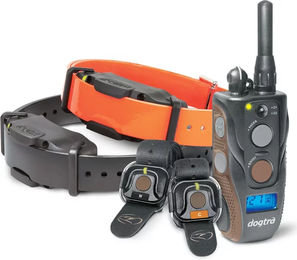 Dogtra ARC 1202S Free Plus Erziehungshalsband für Hundetraining aus Kunststoff in Schwarz Orange – Bild 1 von 1
