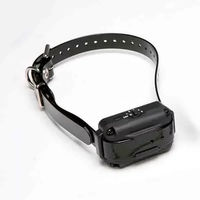 Produktbild von Dogtra Collier Schwarz für Hund als Ergänzung für E-Fence 3500 Erziehungshalsband