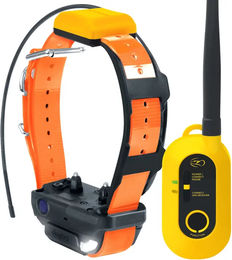Dogtra Pathfinder 2 GPS-Halsband für Hundetraining und Verfolgung in Orange – Bild 1 von 1