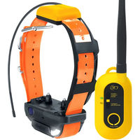 Produktbild von Dogtra Pathfinder 2 GPS-Halsband für Hundetraining und Verfolgung in Orange