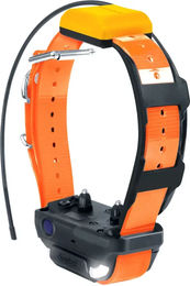 Dogtra Pathfinder 2 GPS-Tracker Hundehalsband Orange für große Rassen – Bild 1 von 1