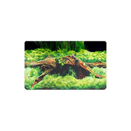 Dohse HOBBY Fotorückwand Spring Moss Grün – Bild 1 von 1