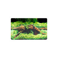 Produktbild von Dohse HOBBY Fotorückwand Spring Moss Grün