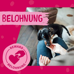 Dokas Getreidefreier Hundesnack Trockenfleisch Streifen aus Ente Monoprotein Glutenfrei 12 x 70g - 12 x 70 g – Bild 1 von 4