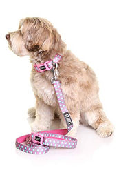 DOOG Luna Neopren-Hundehalsband wasserabweisend rosa Größe S – Bild 1 von 4