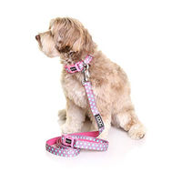 Produktbild von DOOG Luna Neopren-Hundehalsband wasserabweisend rosa Größe S